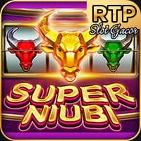 RTP jdb  wiseplay138