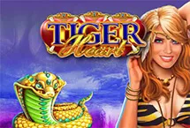 RTP Playngo  wiseplay138